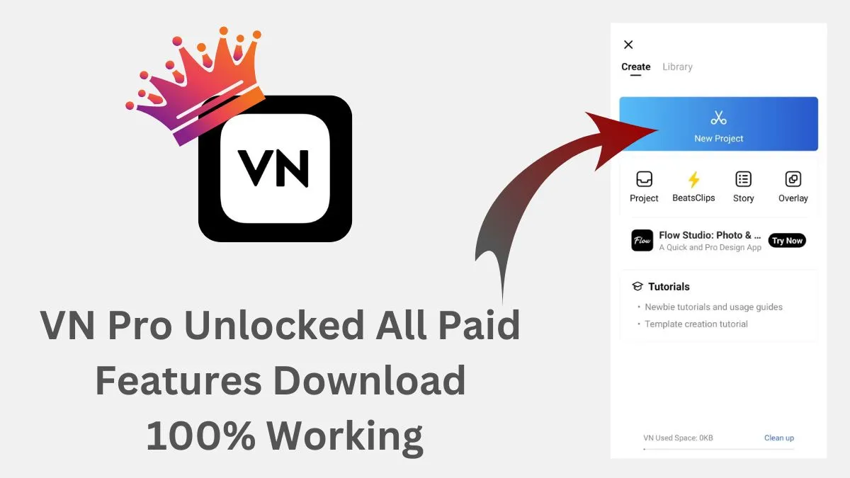 VN Pro Unlocked All Paid Features